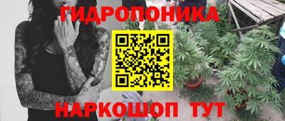 apvp Волгодонск
